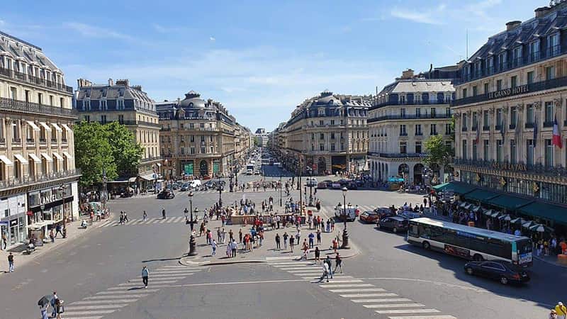 dératisation Paris