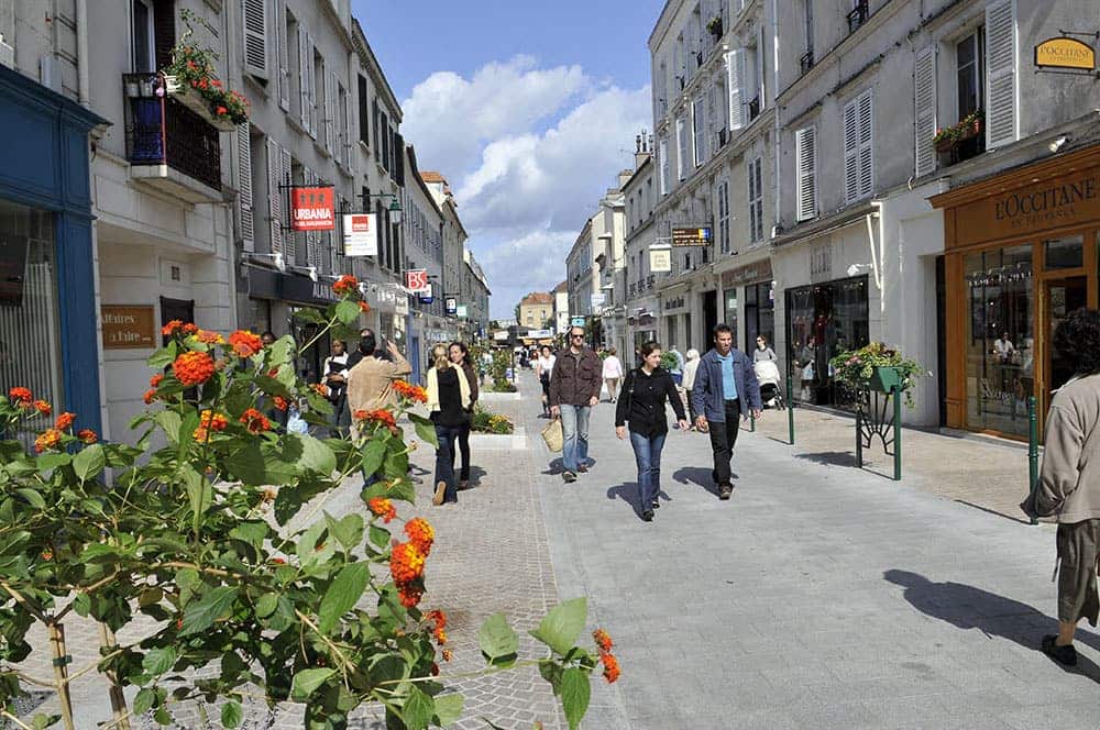 dératisation Rueil-Malmaison